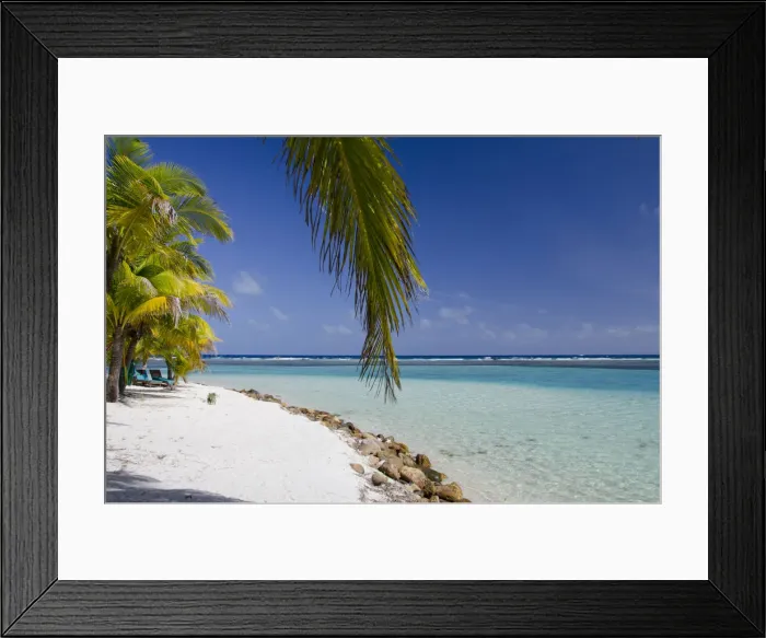 Framed Print : DDE-90038119 Framed Print : DDE-90038119