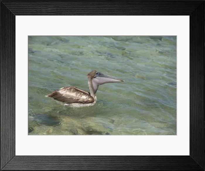 Framed Print : DDE-90038120 Framed Print : DDE-90038120