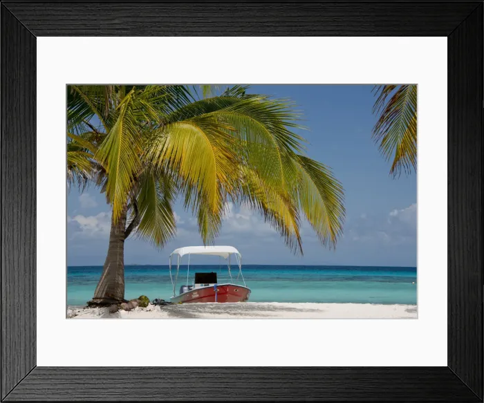 Framed Print : DDE-90038122 Framed Print : DDE-90038122