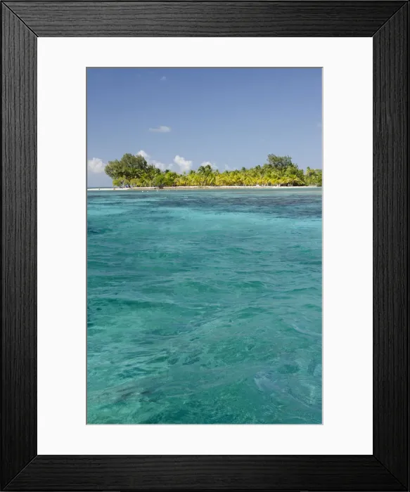 Framed Print : DDE-90038123 Framed Print : DDE-90038123