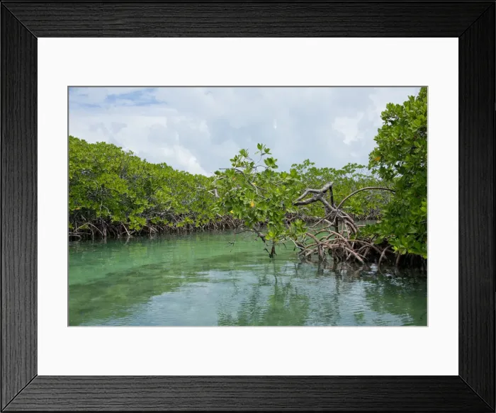 Framed Print : DDE-90038124 Framed Print : DDE-90038124