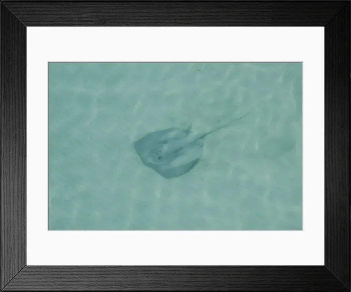 Framed Print : DDE-90038129