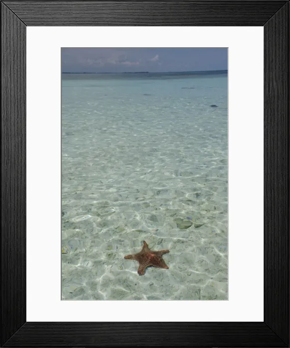 Framed Print : DDE-90038131 Framed Print : DDE-90038131