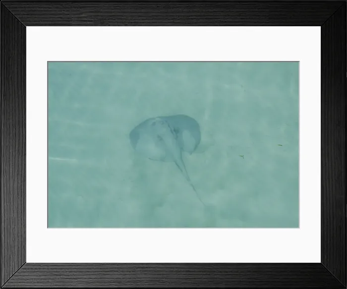 Framed Print : DDE-90038130 Framed Print : DDE-90038130