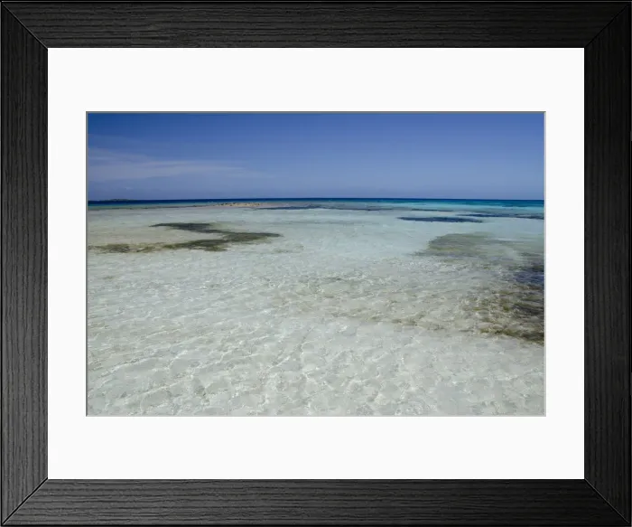Framed Print : DDE-90038132 Framed Print : DDE-90038132