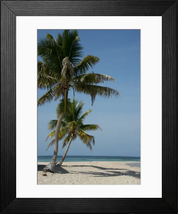 Framed Print : DDE-90038134 Framed Print : DDE-90038134