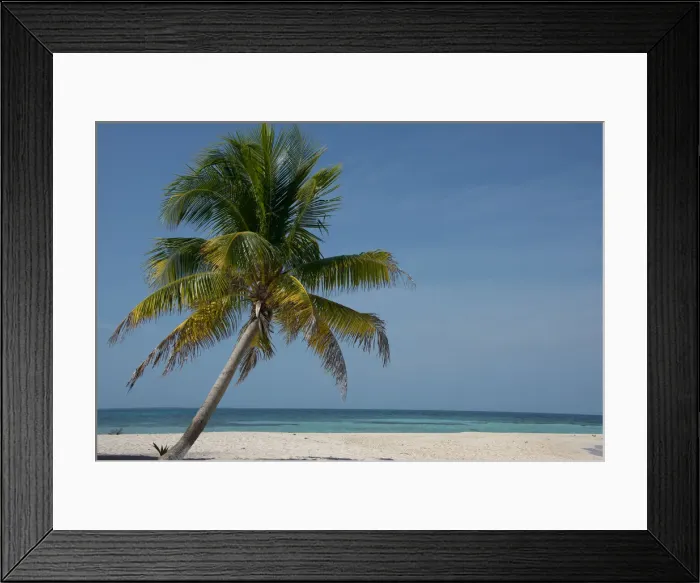 Framed Print : DDE-90038135 Framed Print : DDE-90038135