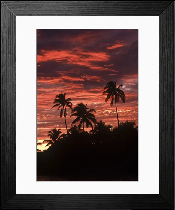 Framed Print : DDE-90038184