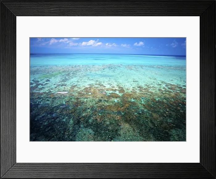 Framed Print : DDE-90038185 Framed Print : DDE-90038185