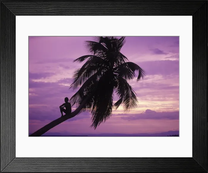 Framed Print : DDE-90038199 Framed Print : DDE-90038199