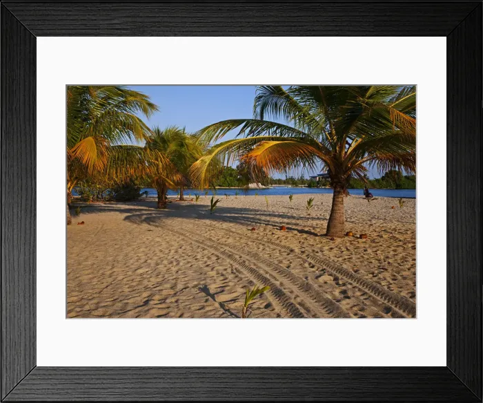 Framed Print : DDE-90038203 Framed Print : DDE-90038203