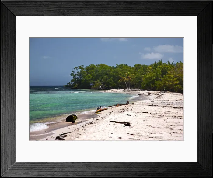 Framed Print : DDE-90038205 Framed Print : DDE-90038205