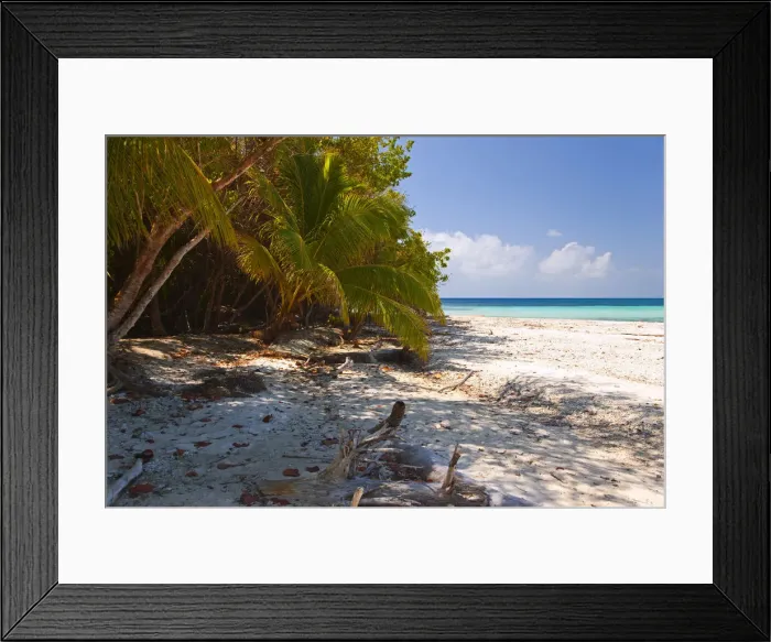 Framed Print : DDE-90038204