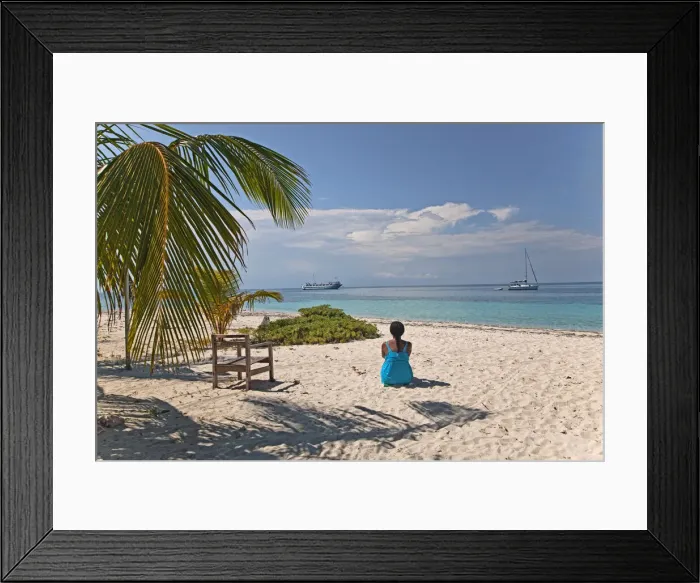 Framed Print : DDE-90038206 Framed Print : DDE-90038206