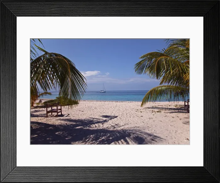 Framed Print : DDE-90038207