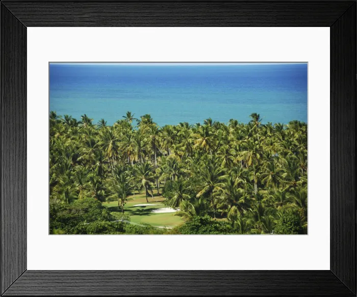 Framed Print : DDE-90038252