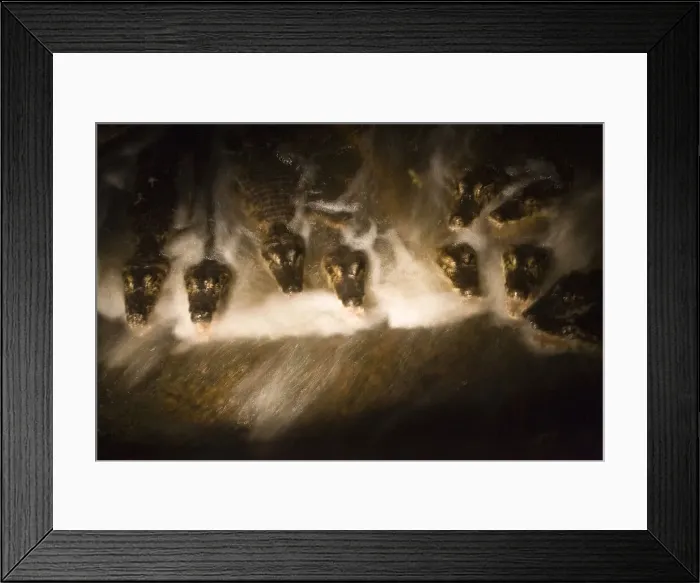 Framed Print : DDE-90038263 Framed Print : DDE-90038263