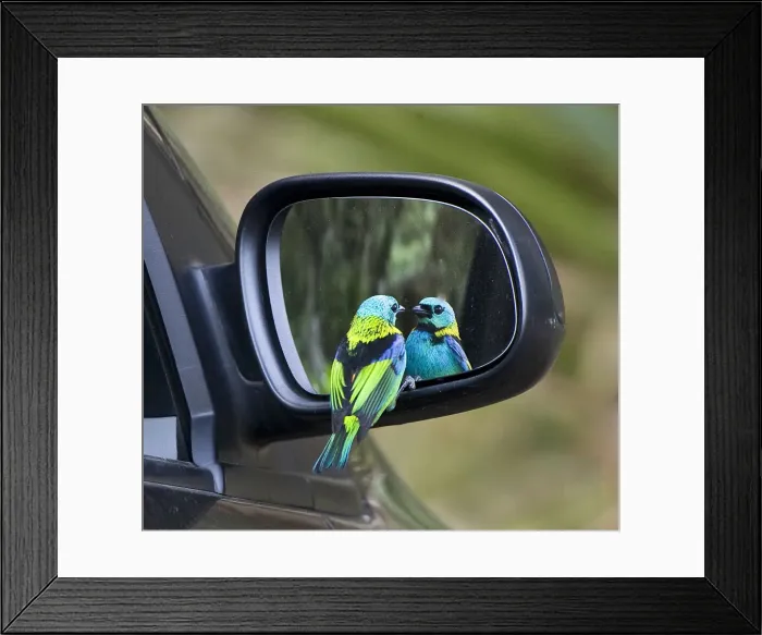 Framed Print : DDE-90038292 Framed Print : DDE-90038292