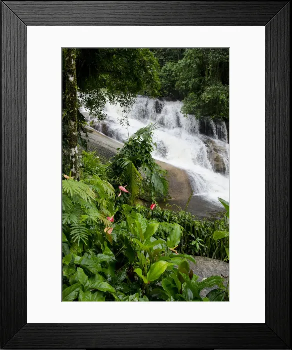 Framed Print : DDE-90038311