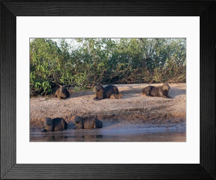 Framed Print : DDE-90038466