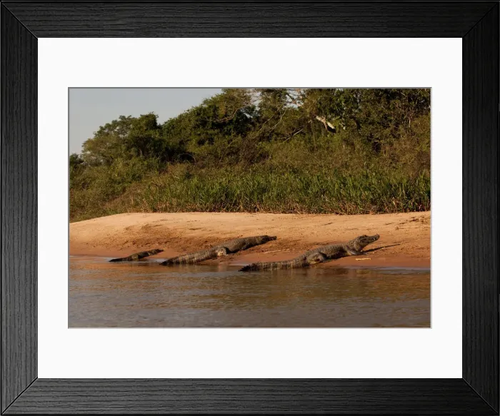 Framed Print : DDE-90038470 Framed Print : DDE-90038470