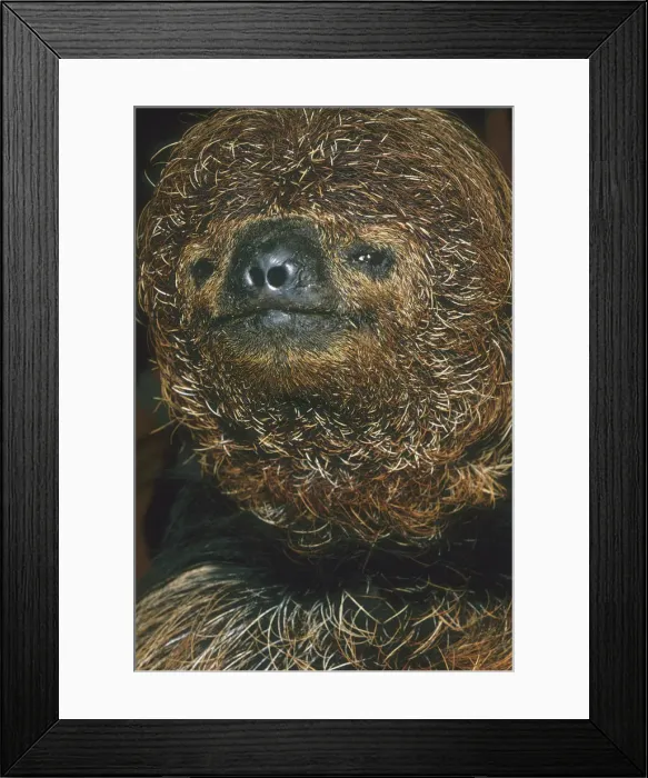 Framed Print : DDE-90038473 Framed Print : DDE-90038473