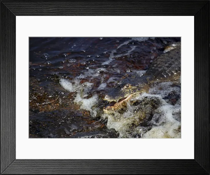 Framed Print : DDE-90038490 Framed Print : DDE-90038490