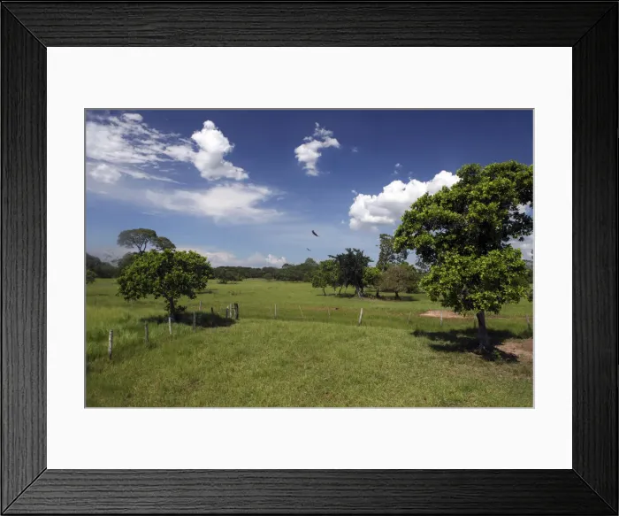 Framed Print : DDE-90038501 Framed Print : DDE-90038501