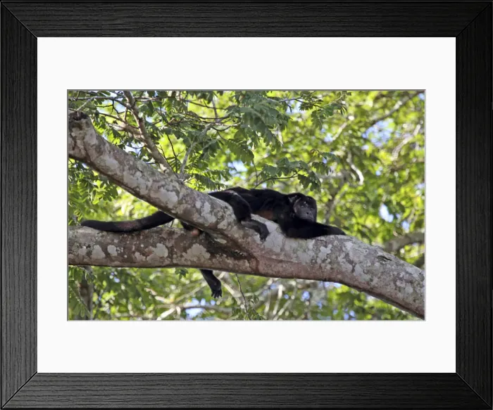 Framed Print : DDE-90038504 Framed Print : DDE-90038504
