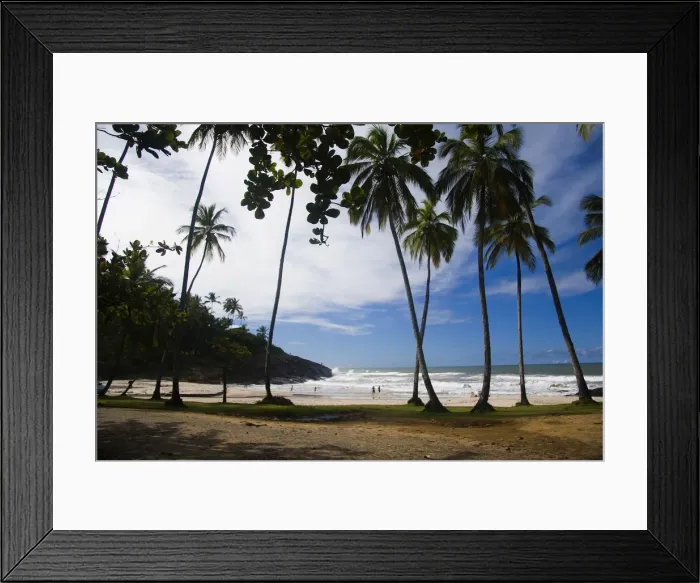 Framed Print : DDE-90038531