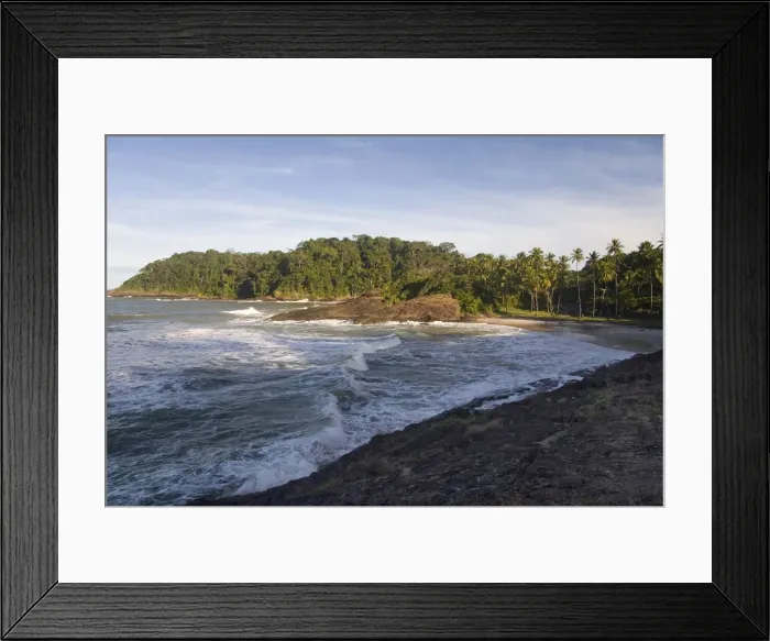 Framed Print : DDE-90038534