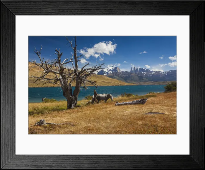 Framed Print : DDE-90038565 Framed Print : DDE-90038565