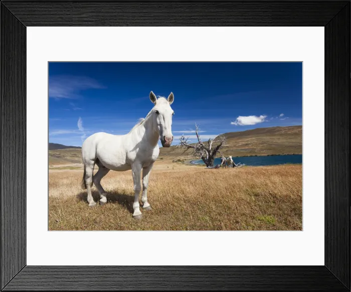 Framed Print : DDE-90038566 Framed Print : DDE-90038566