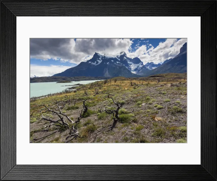 Framed Print : DDE-90038571 Framed Print : DDE-90038571