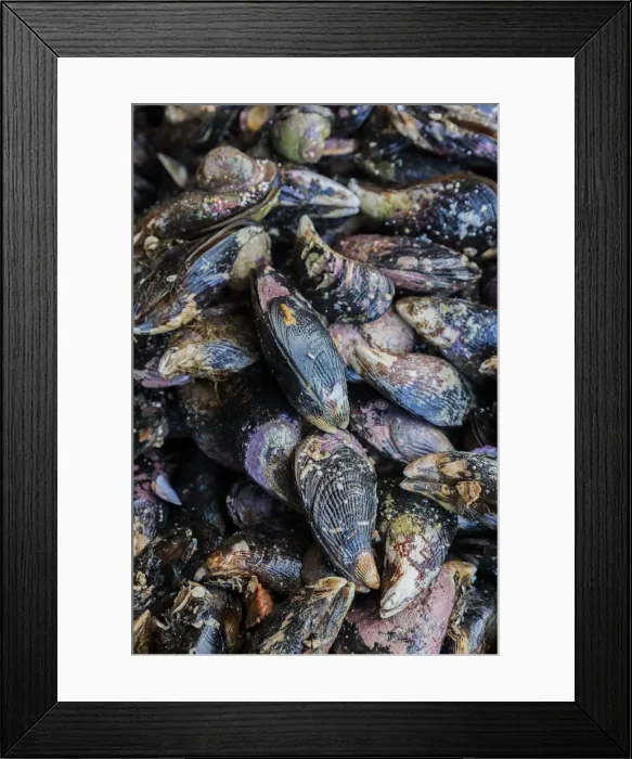 Framed Print : DDE-90038580 Framed Print : DDE-90038580