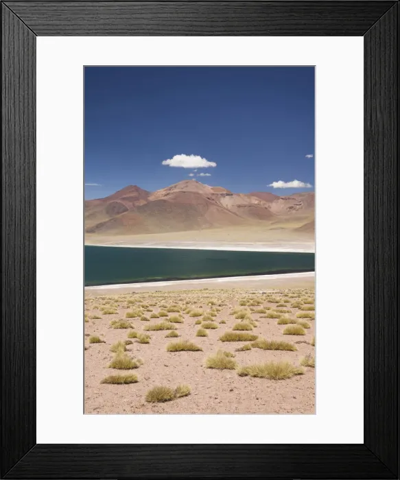 Framed Print : DDE-90038581 Framed Print : DDE-90038581