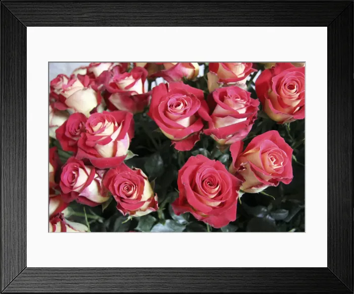 Framed Print : DDE-90038587 Framed Print : DDE-90038587