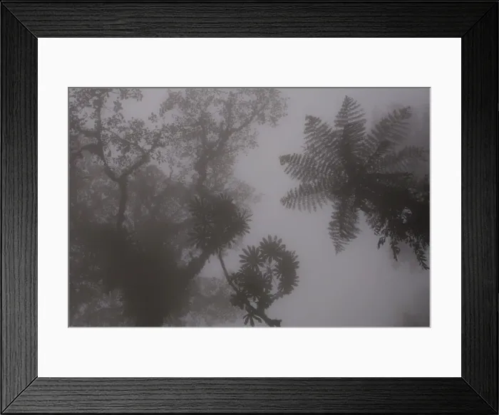Framed Print : DDE-90038589 Framed Print : DDE-90038589