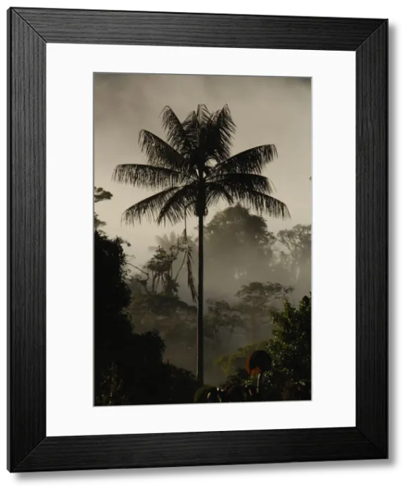 Framed Print : DDE-90038599 Framed Print : DDE-90038599