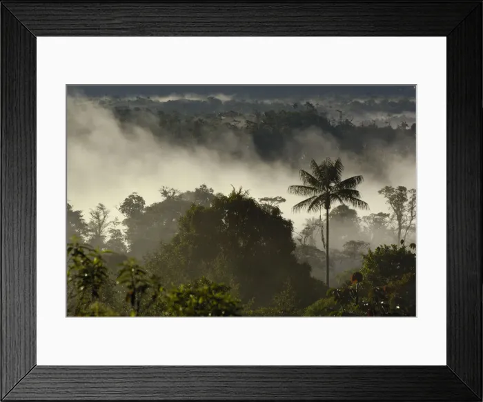 Framed Print : DDE-90038600 Framed Print : DDE-90038600