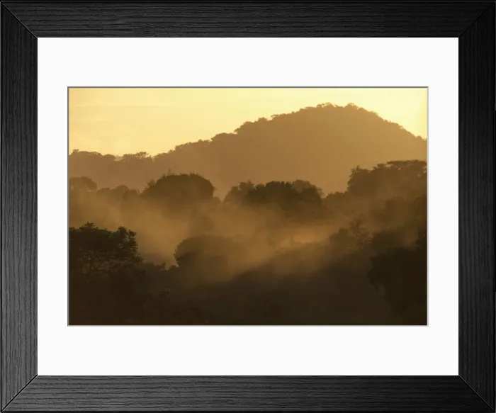Framed Print : DDE-90038661 Framed Print : DDE-90038661