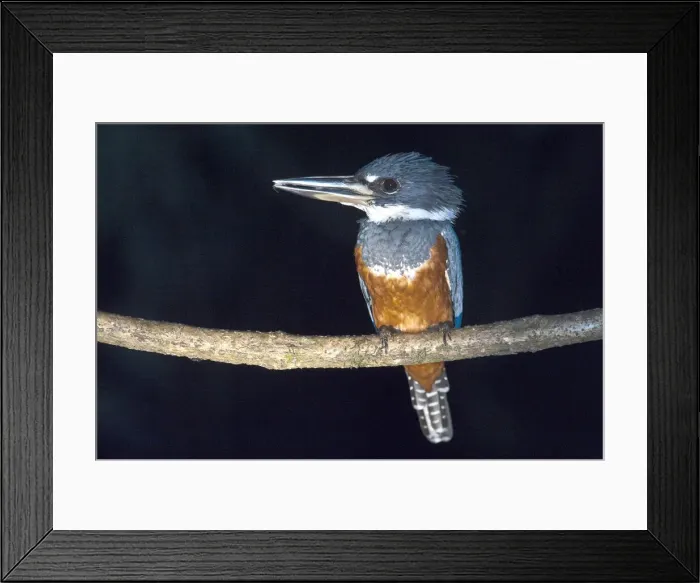 Framed Print : DDE-90038662 Framed Print : DDE-90038662