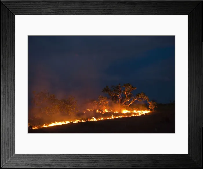 Framed Print : DDE-90038663 Framed Print : DDE-90038663