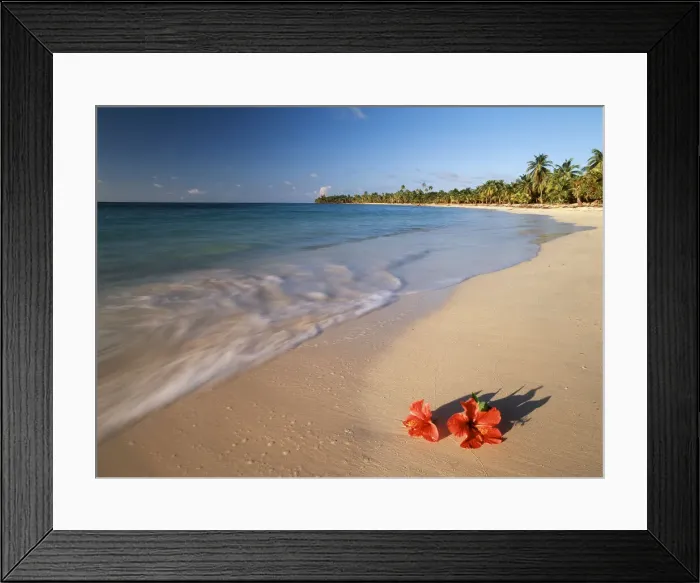 Framed Print : DDE-90038672