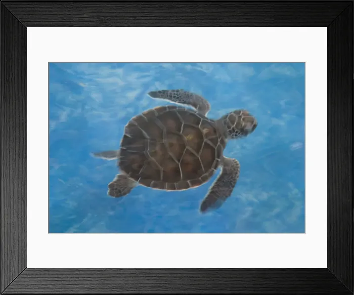 Framed Print : DDE-90038681 Framed Print : DDE-90038681