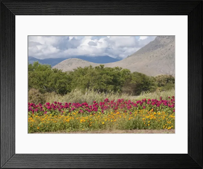 Framed Print : DDE-90038683 Framed Print : DDE-90038683