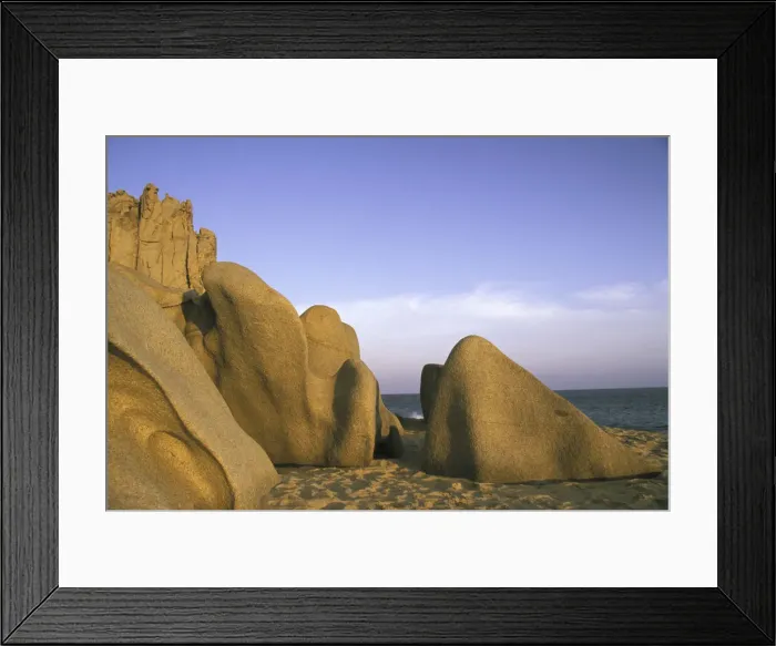Framed Print : DDE-90038686
