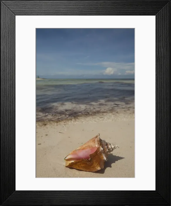 Framed Print : DDE-90038687 Framed Print : DDE-90038687
