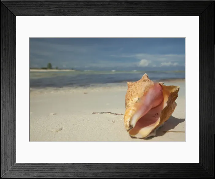 Framed Print : DDE-90038688 Framed Print : DDE-90038688