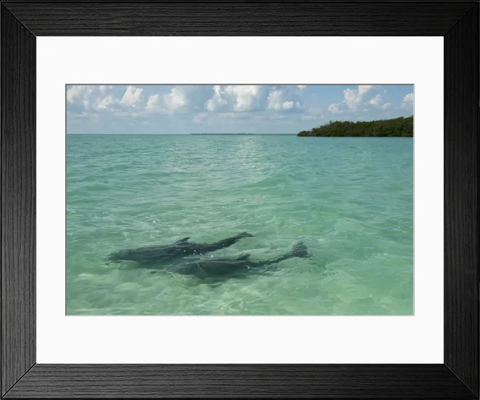 Framed Print : DDE-90038696
